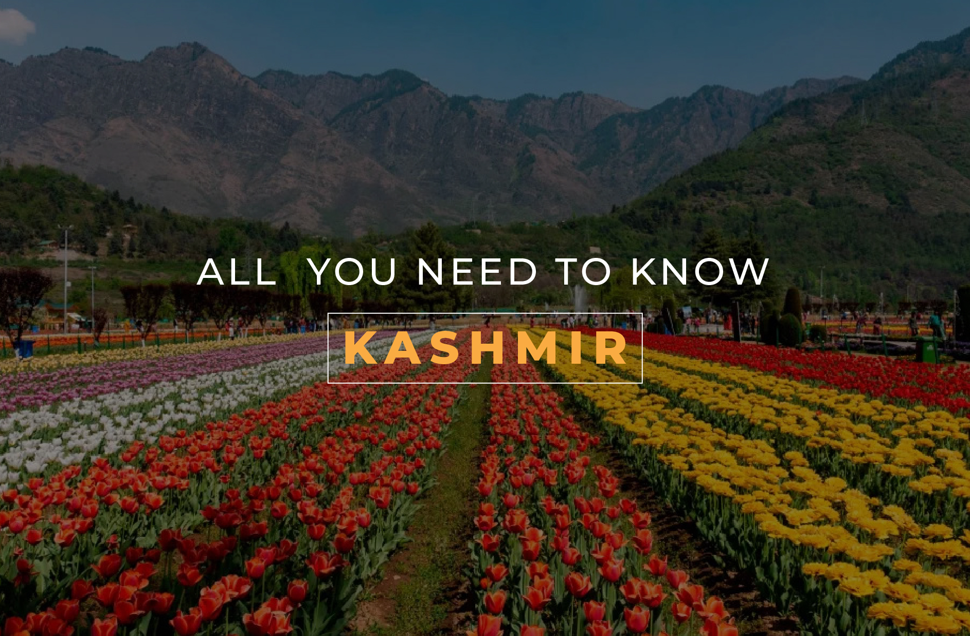 kashmir
